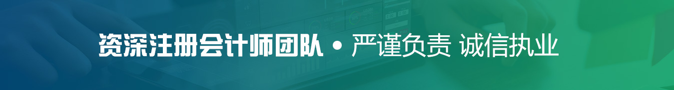 振兴会计师事务所、上市公司审计和咨询服务、上市公司辅导、筹划与后续专业服务、尽职调查和投资管理咨询审计、内部控制和绩效评价专项审计、企业财税顾问、专业咨询服务、工商代理、企业管理、咨询服务业、审计、财会、税务、从事证券服务业务