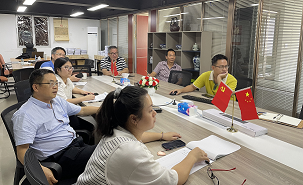 振兴会计师事务所,上市公司审计和咨询服务