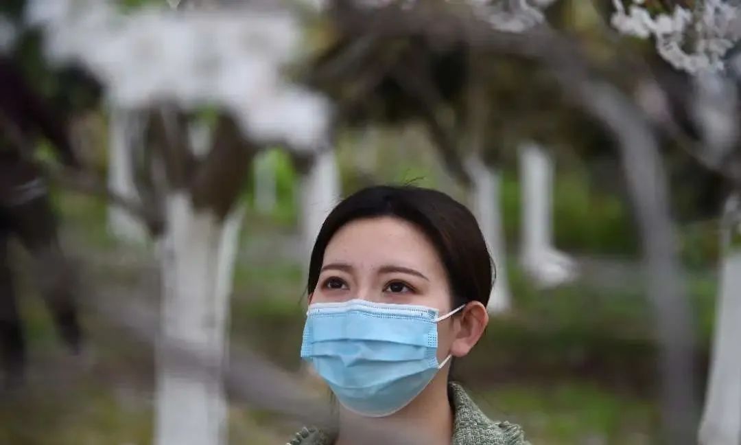 振兴会计师事务所,上市公司审计和咨询服务