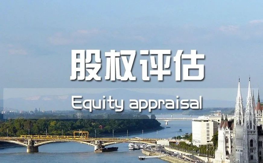 振兴会计师事务所,上市公司审计和咨询服务