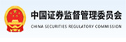 振兴会计师事务所,上市公司审计和咨询服务
