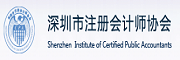 振兴会计师事务所,上市公司审计和咨询服务
