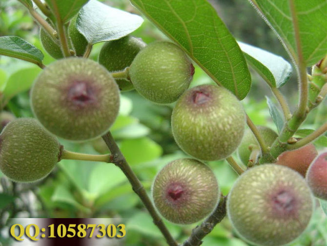 CE_20111010121945281.jpg