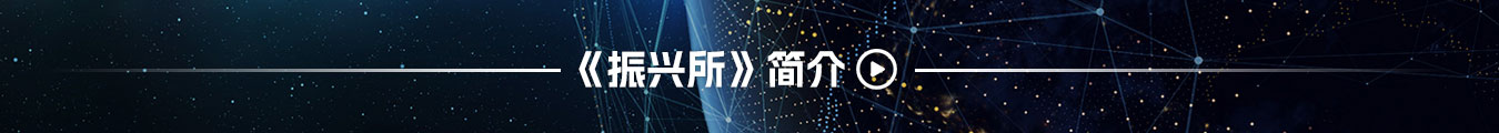 深圳振兴会计师事务所(普通合伙)