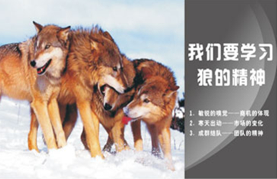 企业文化标语大全(转载)|教育培训 - 深圳市振兴